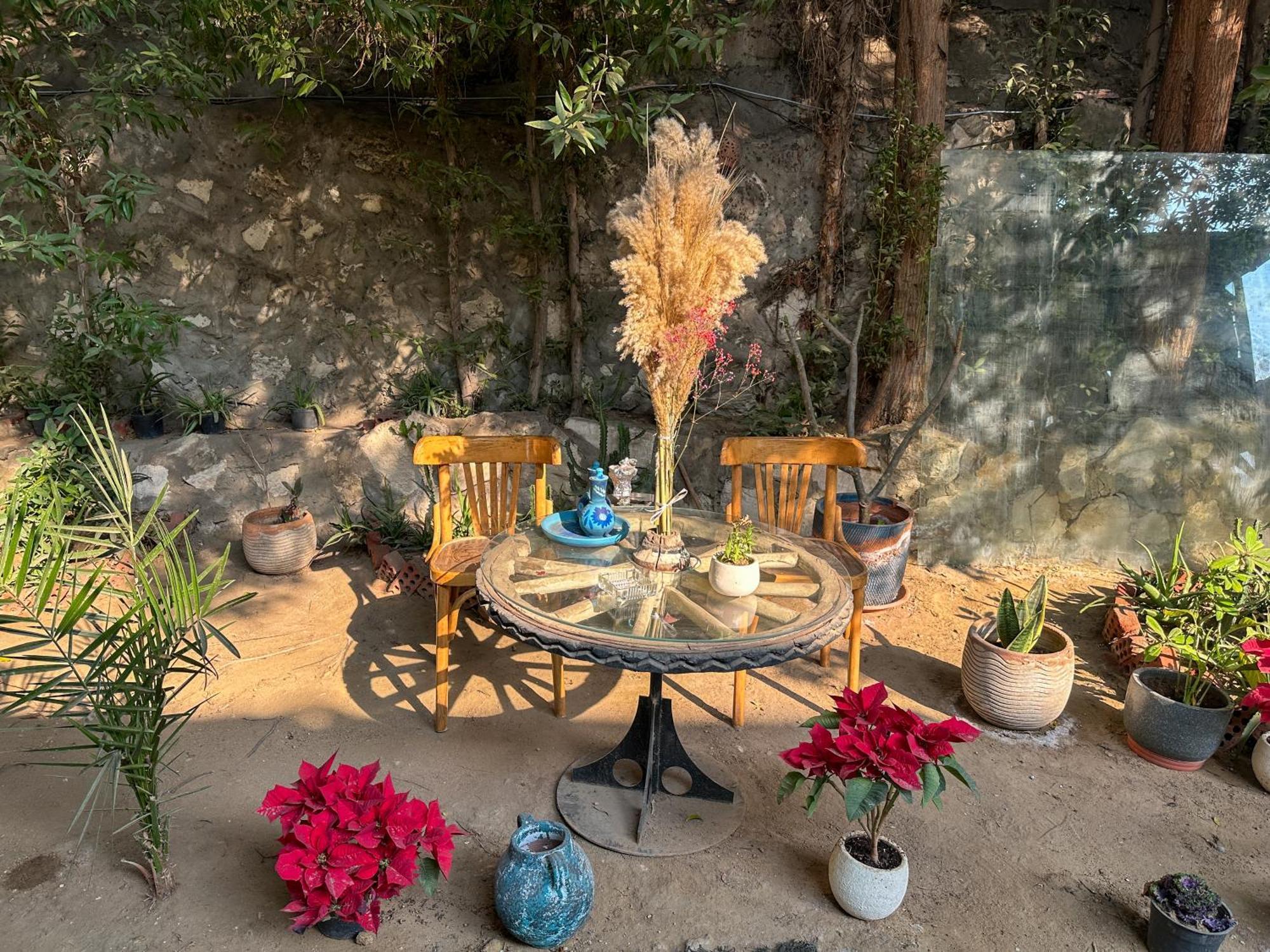 Houseboat65 - Historic Home On The Nile - Central Kairo Exterior foto